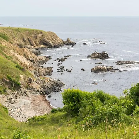 Zelenika 2* Sinemoretz